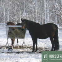 hooiruif paard met dak