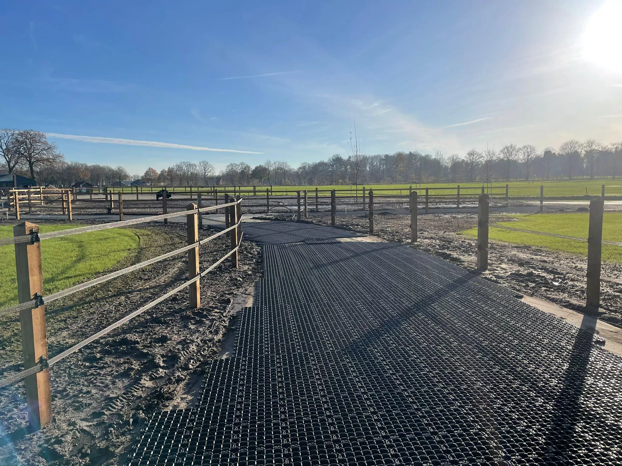 Horse Grid H35