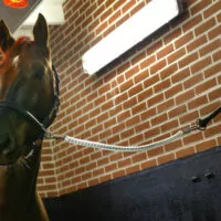 geplastificeerde ketting