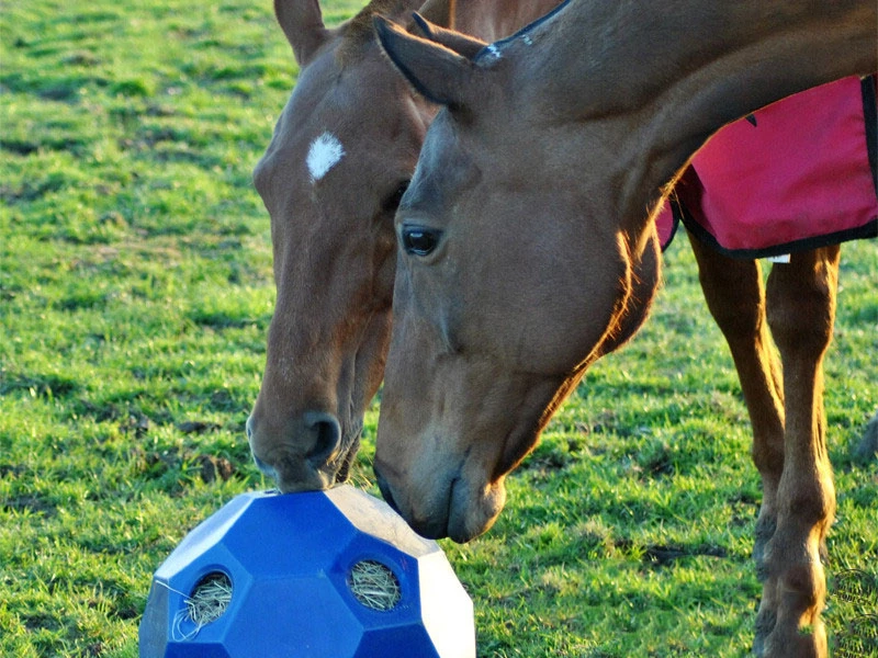 Voerbal Hay Play