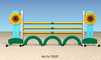 Jumps4Life (12037.oxer)