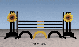 Jumps4Life (12039.oxer)