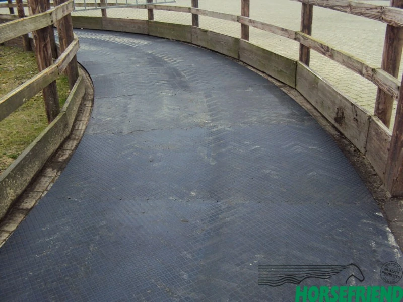 Belmondo Horsewalker Profi