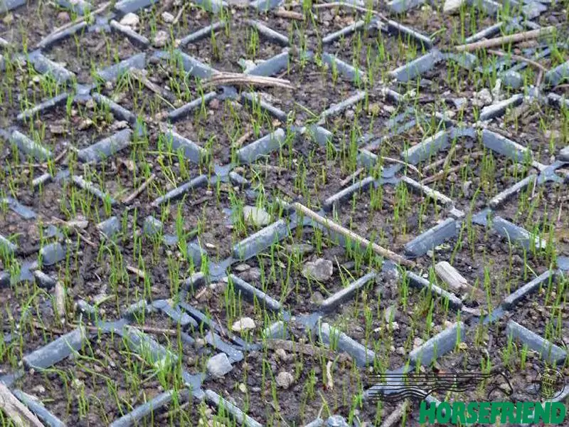 Horse Grid H35