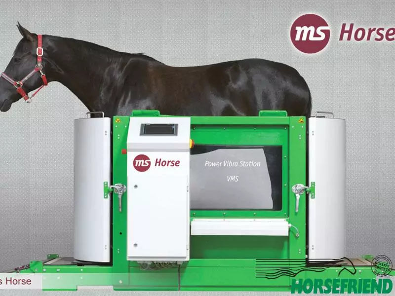 MS Horse Vibra Trainer
