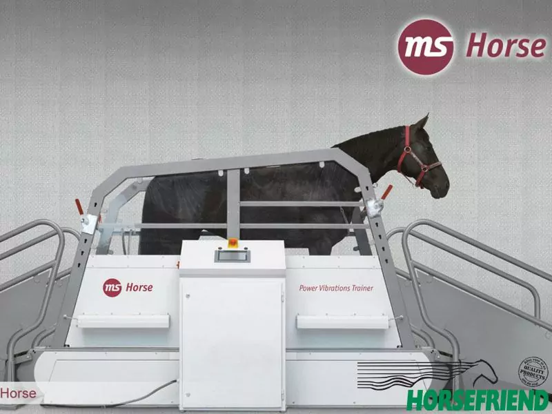 MS Horse Trainer 9005 met vibratie