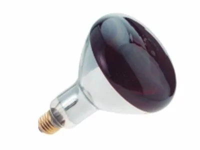 Infrarood lamp 250 Watt