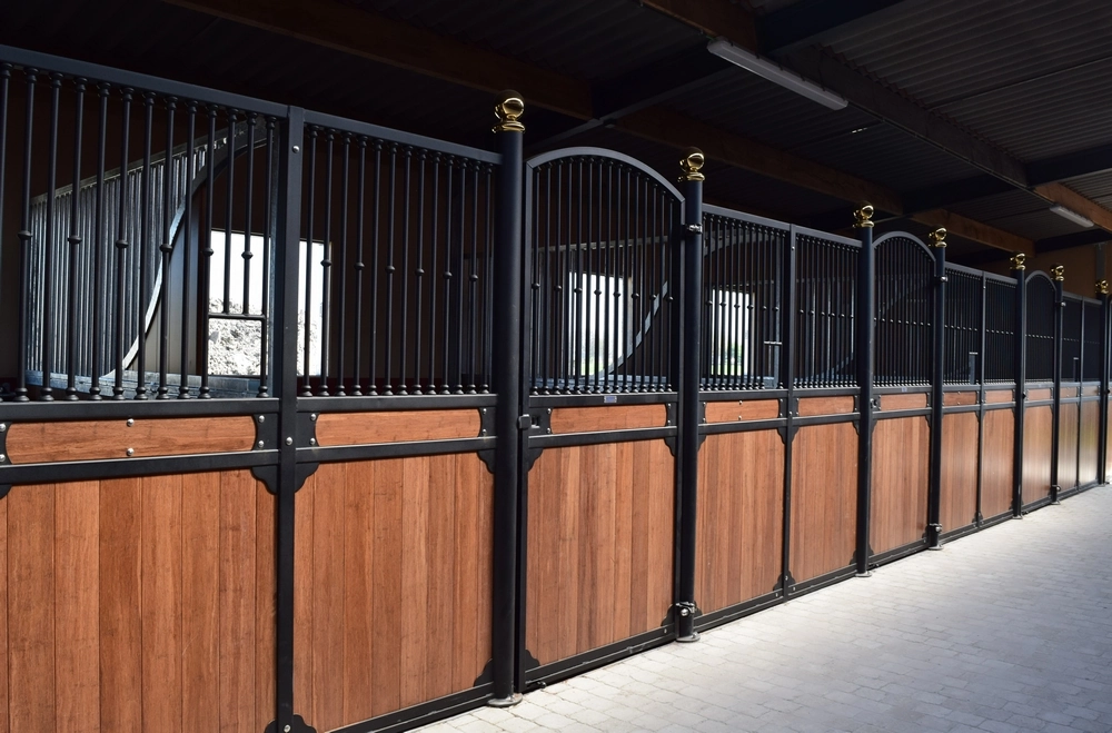 Paardenbox voorwand