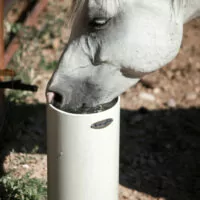 Drinking post