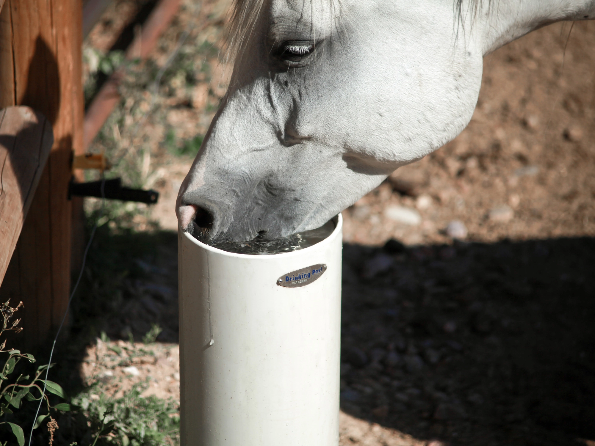 Drinking post