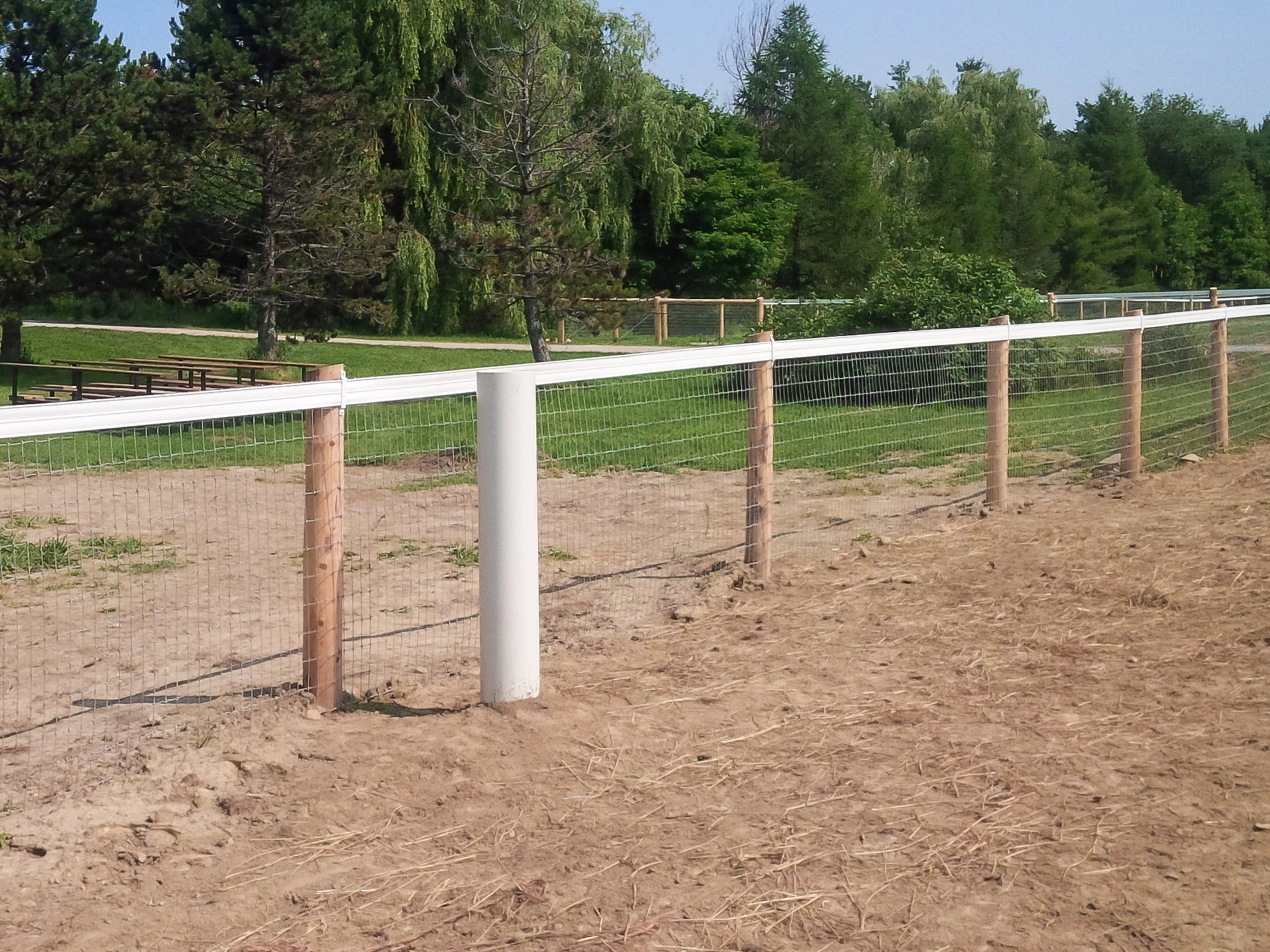 Drinkpaal paard