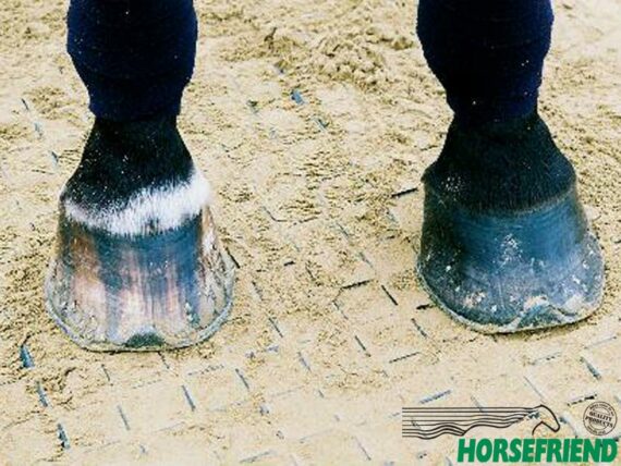 05.Horse Grid H35. Voor een optimale bodem stabilisering en goede waterafvoer.